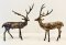 Deer Brass Statue Set of 2