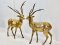 Deer Brass Statue Set of 2