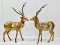 Deer Brass Statue Set of 2