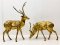 Deer Brass Statue Set of 2