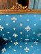 CS21 Carved Wooden Sofa with Blue Fabric