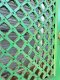 Arch Entrance Door in Vintage Green