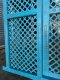 Large Entrance Gate Door in Vintage Blue