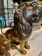 Set of 2 Lions Solid Brass Statue