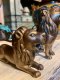 Set of 2 Lions Solid Brass Statue