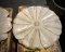 Flower Carved Marble Plate