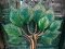 DCI87 Painted Iron Tree