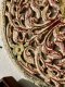 DCI219 Art Carved Round Wall Panel Rustic Color