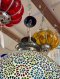 Large Round Hanging Lamp with Colorful Crystals