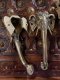 Pair of Brass Elephant Door Handles