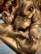 Brass Lord Ganesha with 4 Hands