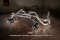 Fi Exhaust Porsche 718 Boxster / Cayman GTS 4.0 OPF