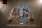 Fi Exhaust Porsche 718 Boxster / Cayman GTS 4.0 OPF