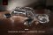 Fi Exhaust Porsche 718 Boxster / Cayman GTS 4.0 OPF