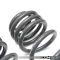 034Motorsport Dynamic+ Lowering Springs for 8S Audi TT RS