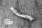 Tneer Exhaust BMW 520i/530i G31 Touring (B48)