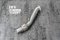 Tneer Exhaust BMW 520i/530i G31 Touring (B48)