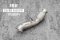 Tneer Exhaust BMW 520i/530i G31 Touring (B48)