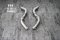 Tneer Exhaust BMW M5 F90