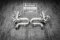Tneer Exhaust Ferrari 458 Speciale