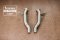 Tneer Exhaust Ferrari 458 Speciale