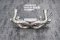 Tneer Exhaust Lamborghini Huracan LP610-4