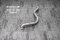 Tneer Exhaust Mercedes-Benz CLA35 C118