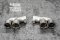 Tneer Exhaust Porsche 997.2 Turbo/S