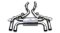 Tubi Style BMW M3 F80/M4 F82 Exhaust W Valves