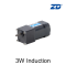 3W Induction AC Motor/Gear Motor