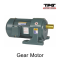 gear motor