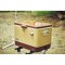 Coleman JP 54QT Steel Belted Cooler/Brown