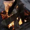 Coleman JP Fireplace Stainless