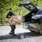 Coleman JP Outdoor Wagon Max