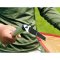 Snow Peak Amenity Tarp Hexa L TP-851SR