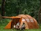 Nordisk Reisa 6 PU Tent Cashew Brown