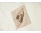 Nordisk Kari 8 Tarp