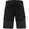 Abisko Shorts M