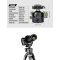 SUNWAYFOTO TH-55G TRIPOD HEAD 55MM LOW PROFILE BALL HEAD MOUNT