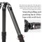 SUNWAYFOTO T3640CM MASTER SERIES CABON FIBER TRIPOD