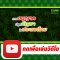 การอนุญาตปลูกกัญชาในประเทศไทย | นพ.สมยศ กิตติมั่นคง | รู้จักกับกัญชา | CANNHEALTH