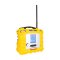 เครื่องตรวจจับแก๊ส (Gas Detector AreaRAE Plus)