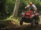 A020 : Phuket Paradise ATV 30 mins + Sea view + Jungle