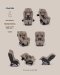 Nuna - Car Seat Rava Next (0-9Y)
