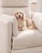 Qd - Carnegie Electric Recliner รุ่นผ้า Pet-Friendly Fabric | Qd MaisonGuard