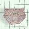 Mid Waist Lace Panty by Skinn Intimate