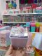 กล่องใส่ปากกา กล่องใส่ดินสอ กล่องใส่ของอเนกประสงค์สีพาลเทล