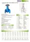 ARITA IGA-F3 Gate Valve Cast Iron - PN16