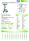 ARITA SGA Gate Valve Stainless Steel - JIK10K