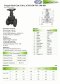 ARITA FGA-F2 & F5 Gate Valve Forged Steel